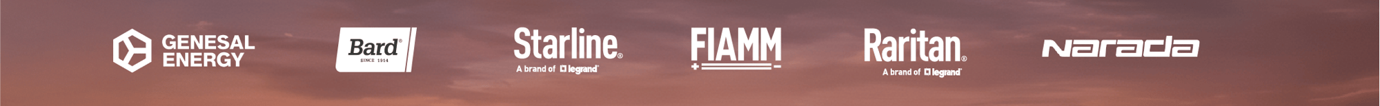 esponsor finales landing-09